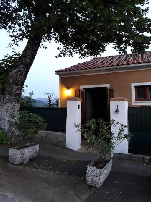 Petit Coin De Paradis Évisa Exterior foto